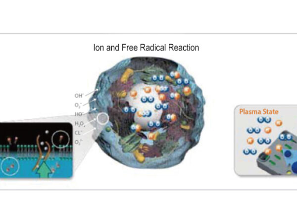 Cell-Membrane-1